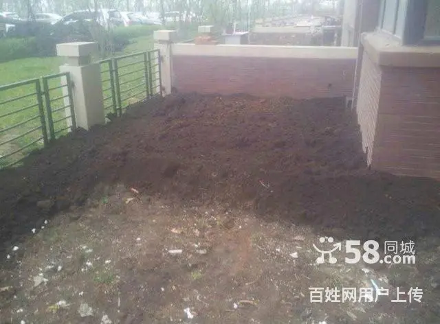 树木卖鹿粪鸡粪 猪粪 黑土 花土 假条茄子秧 - 图片 2