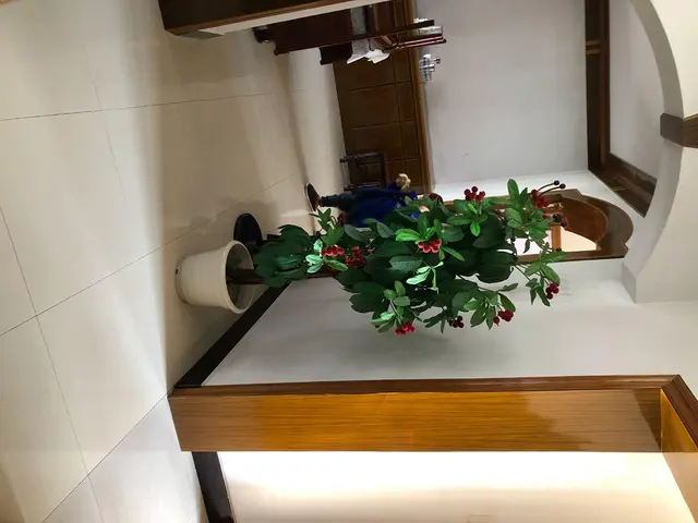 爱干净的优先 - 图片 5