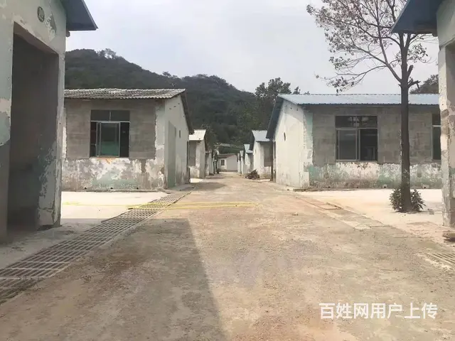 （房东直租）望城白若镇1000到6000平厂房优价出租 - 图片 4