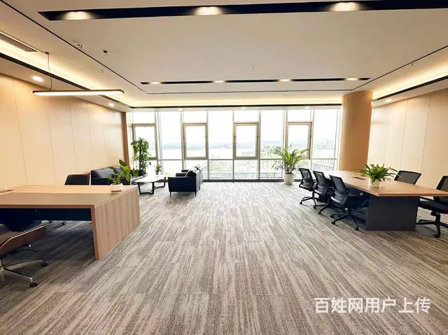 天府菁蓉中心兴隆湖低密阔办公全装全配环保办公家居 - 图片 10