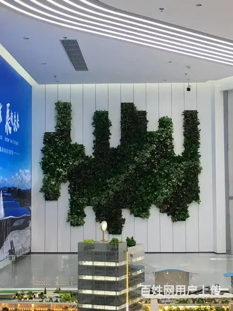 广州花墙 广州植物墙 广州绿植墙 垂直绿化 - 图片 4