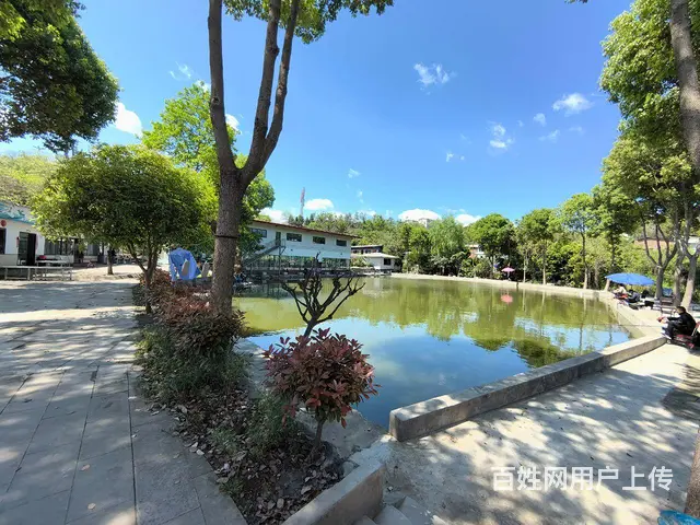 旺铺居）房东直租农家乐招餐饮项目环境优美绿树成荫鱼塘环绕 - 图片 5