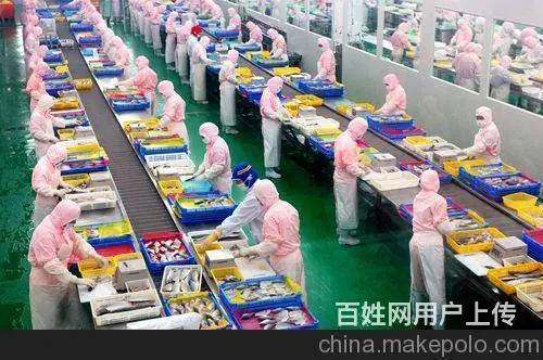 ，年薪45万 澳大利亚劳务派遣 工作签/保签 - 图片 4