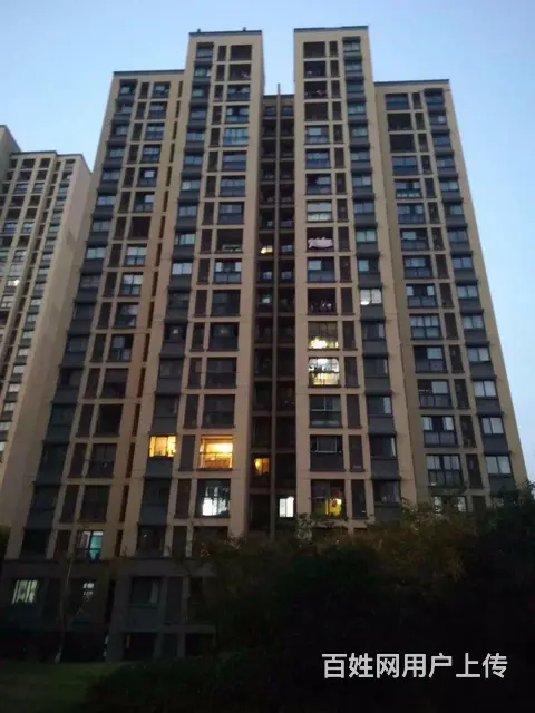 清水湾三期 精装修 户主置换急售 采光 南北通透 - 图片 8