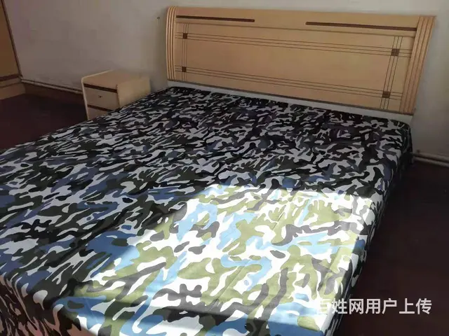 地铁房洮昌花园(大东-洮昌) 普通住宅2厅 精装修 - 图片 9