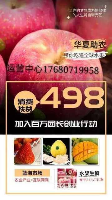 社交电商团长果园加盟_团长果园  加入玩主_运营中心佑玲 - 图片 3