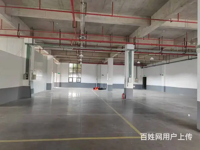 （老板本人）长沙县榔梨镇厂房仓库原始房东优价出租6943 - 图片 7