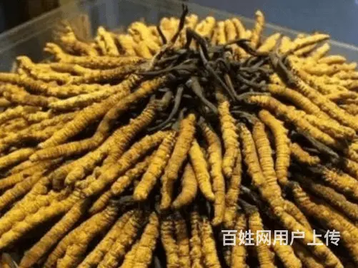 黄梅县本地烟酒回收个人上门回收烟酒 - 图片 1