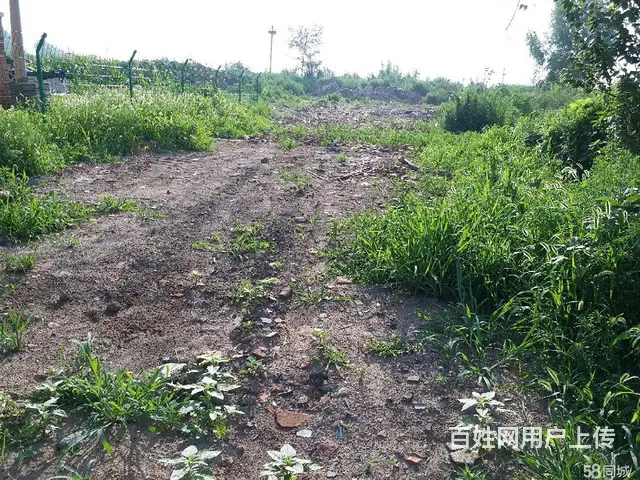【搞定了！】独门独院无邻居可储罐、仓库、工厂、养殖等 - 图片 6