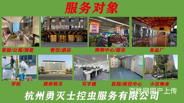 上门除虫灭鼠灭蟑螂灭白蚁抓老鼠 - 图片 4