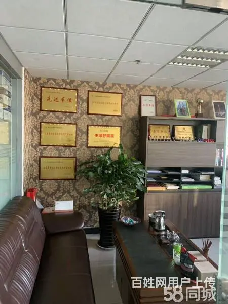 在税务机关和纳税人之间架设桥梁，协助纳税人处理全盘 - 图片 1