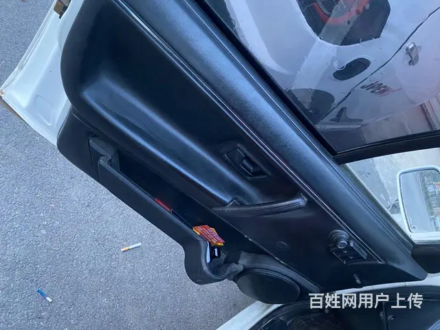 普桑 - 图片 1