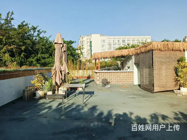 （51旺铺推荐）金鸡岭260平临街铺面出租 - 图片 9