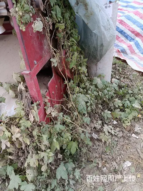 有了两年的旋耕播种机 - 图片 1