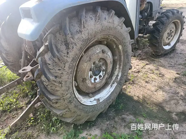 雷沃欧豹404 - 图片 3