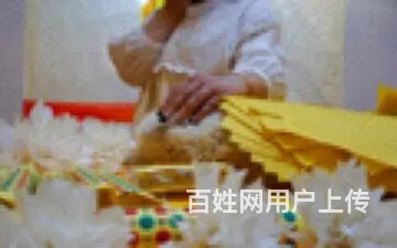 常州宠物殡葬动物火化狗狗猫咪遗体告别善终服务 - 图片 3