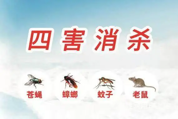 除百虫除四害灭蟑螂、灭蚂蚁、灭老鼠、灭蚂蚁 - 图片 6