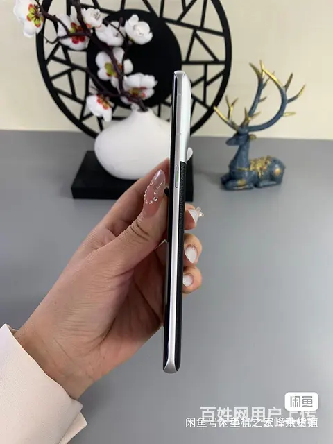 【搞定了！】OPPO fandx3 摄影师限量版 - 图片 3