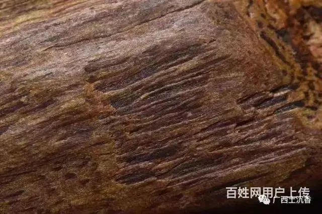 广西土沉香批发 - 图片 4