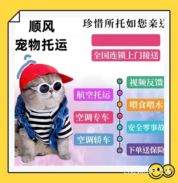 山南市宠物托运（猫狗）邮寄快递（2023今日 推荐运输 - 图片 4