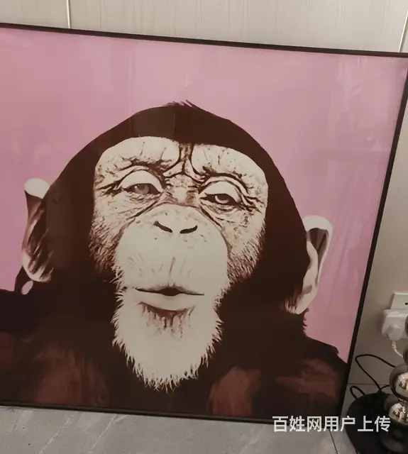 高档上档次挂件装修 - 图片 3