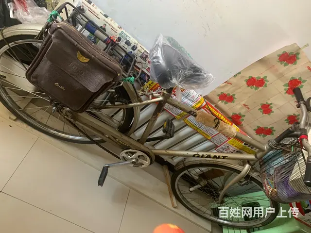 【搞定了！】捷安特自行车 - 图片 5