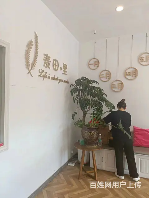7925（七P）个人城北区祁连路金海湾临街店铺出租房东直租 - 图片 6