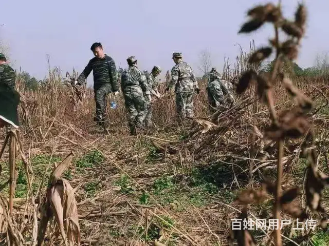 四川雅安少管所 不听话孩子管教机构联系电话 - 图片 1