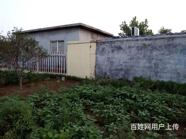 (58)临港经济开发区 6亩国有土地院子厂房 可租可售 - 图片 2