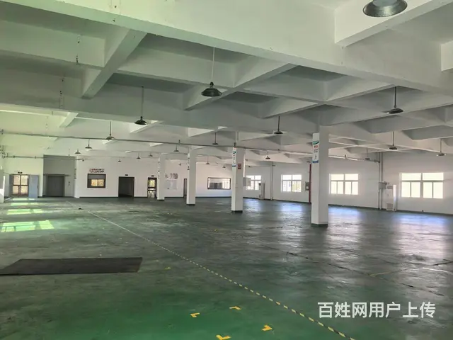 一楼1200平8毛标准丙类厂房招租 高度6米带大场地 - 图片 6