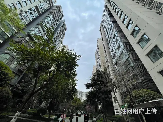 精选）日收发量2500票快递店转让(带三通一达承包区) - 图片 8