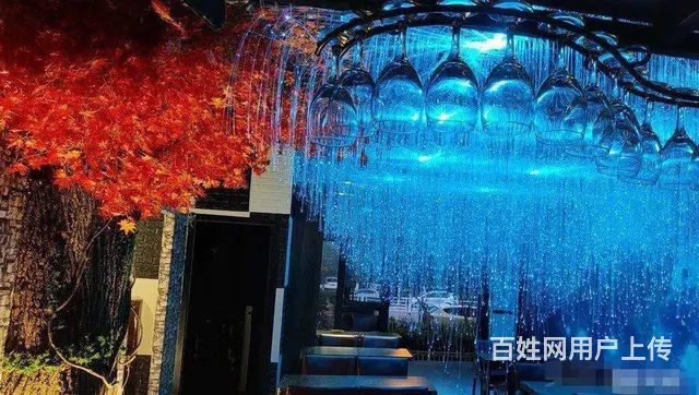 B9712一商圈旺铺餐酒吧日营业额8000+生意转让 - 图片 3