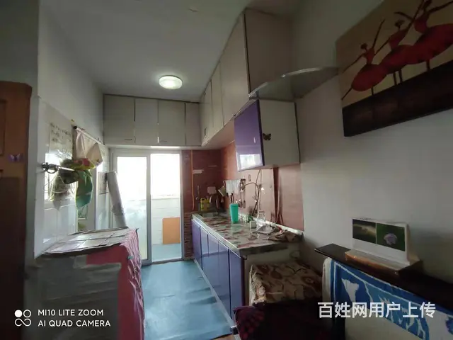 艳粉二期 7楼南北42平700元中等装修 - 图片 4