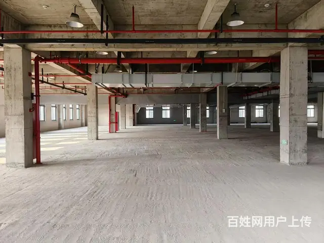 富春街道新建17002方厂房出租（可分租） - 图片 2