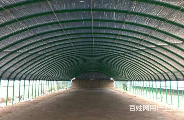 宿迁地区批发各种大棚骨架上门定做各种养殖大棚种植大 - 图片 1