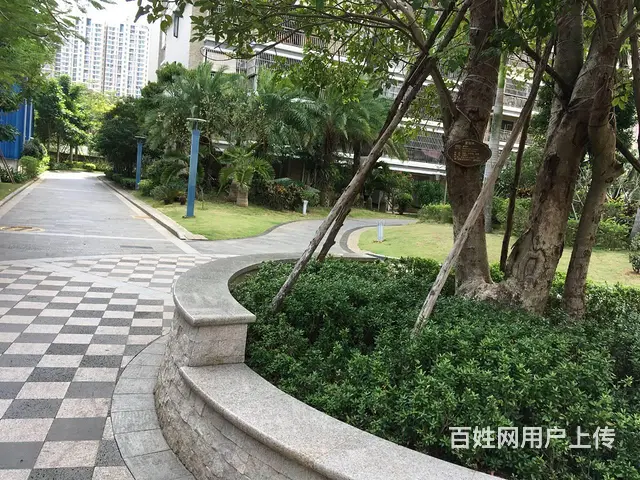 海府路3F2T出租 - 图片 1
