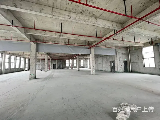 董浜全新厂房1至4楼4000平，高8米，有吊装平台，环氧地坪 - 图片 8