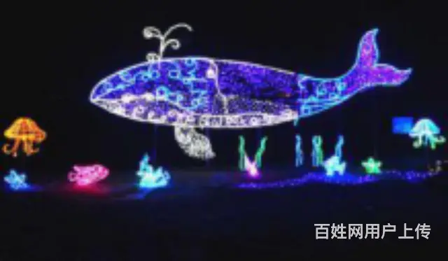 绍兴网红打卡灯光展出租 灯光展厂家 - 图片 1