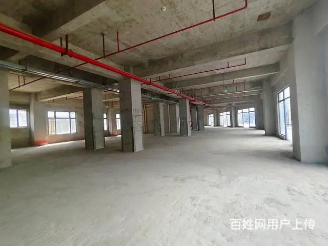 （51旺铺推荐）南沙路整栋4351平招商 - 图片 3