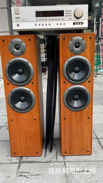 丹麦原装进口尊宝发烧音箱+马来西亚原装进口安桥功放 - 图片 2