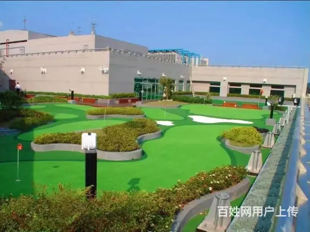 人造嵌沙果岭场地 室外仿真高尔夫果岭 - 图片 1