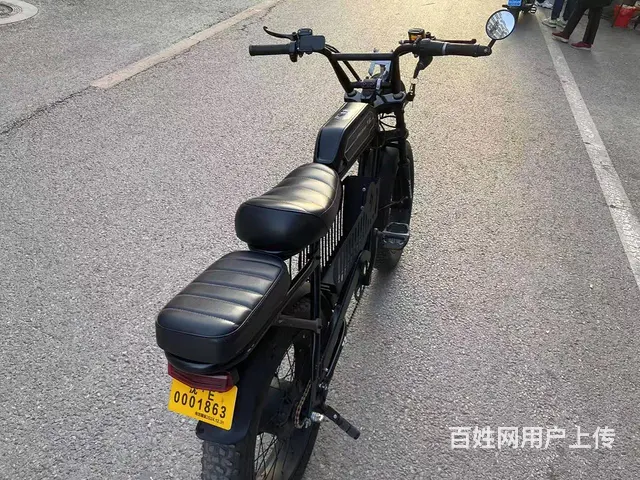 48伏锂电池哈雷电动自行车 - 图片 3