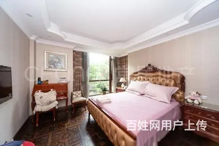恐龙园香树湾龙城福第《独栋别墅》600万豪华装修私 - 图片 6