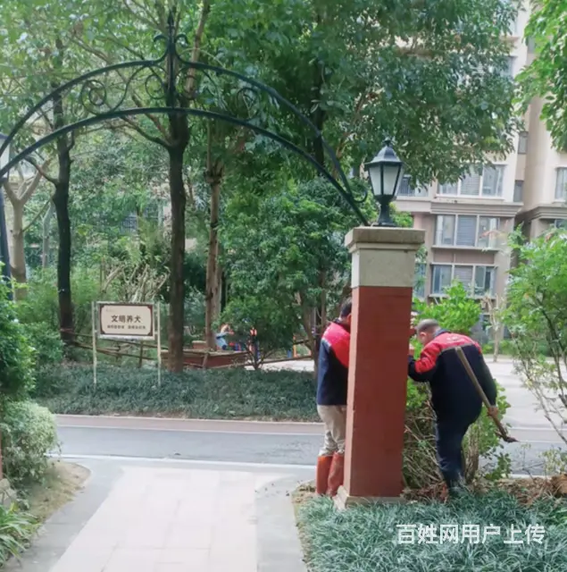 防城港防城承接管道渗水查漏服务放心可靠 - 图片 2