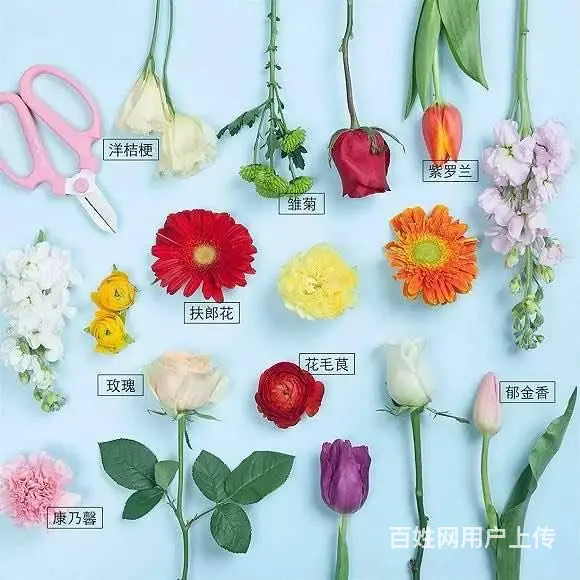 常州如何开一家花店 - 图片