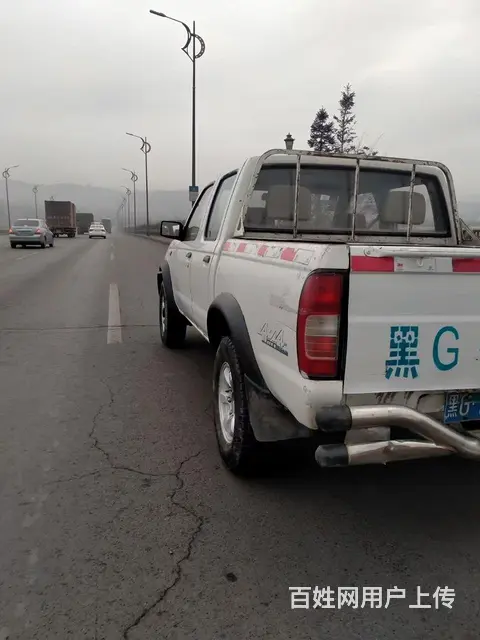 其他 皮卡 - 图片 8