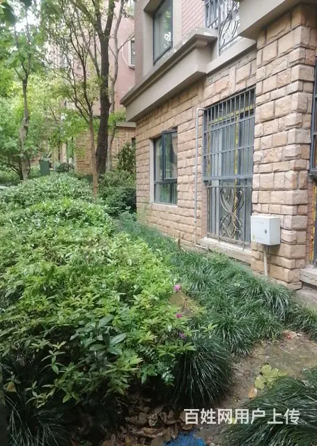 【搞定了！】泉山湖联华金水城D区1楼 - 图片 9