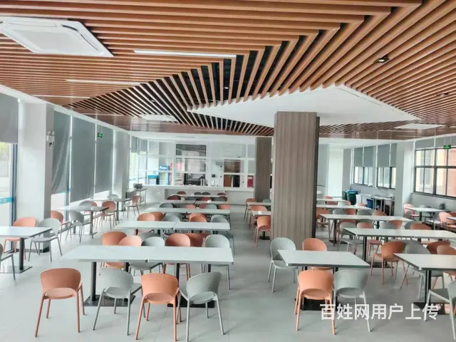 长兴亿赢科技多功能产业园标准厂房出租（2400方起租 - 图片 5