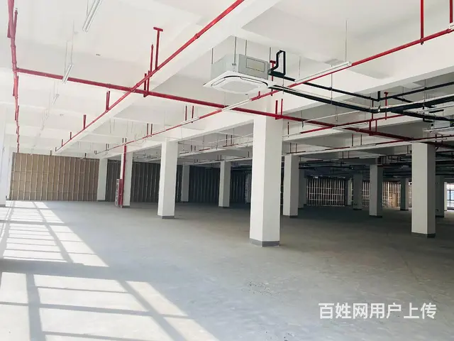 高新区厂房出租，配套齐全，补贴齐全 - 图片 2