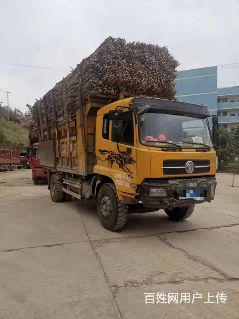 6缸东风 天锦 自卸车 - 图片 2
